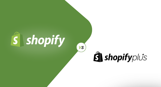 shopify expert team, fiverr pro, cluth.co shopify experts, shopify plus, shopify expert team agency, webrito, shopify