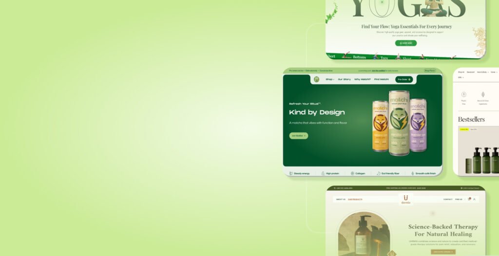 Shopify Theme Development